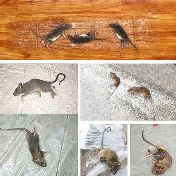 120-x-28cm-invisible-and-transparent-rat-killing-magic-carpet-rodents-moles-trap-rat-mice-trap-clear-invisible-mouse-glue-trap-6-flyingcart.pk