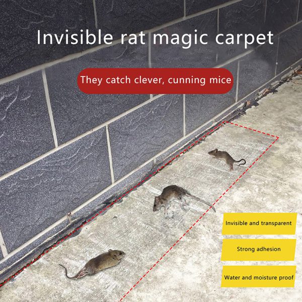 120-x-28cm-invisible-and-transparent-rat-killing-magic-carpet-rodents-moles-trap-rat-mice-trap-clear-invisible-mouse-glue-trap-6-flyingcart.pk