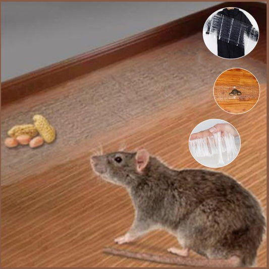 120-x-28cm-invisible-and-transparent-rat-killing-magic-carpet-rodents-moles-trap-rat-mice-trap-clear-invisible-mouse-glue-trap-6-flyingcart.pk