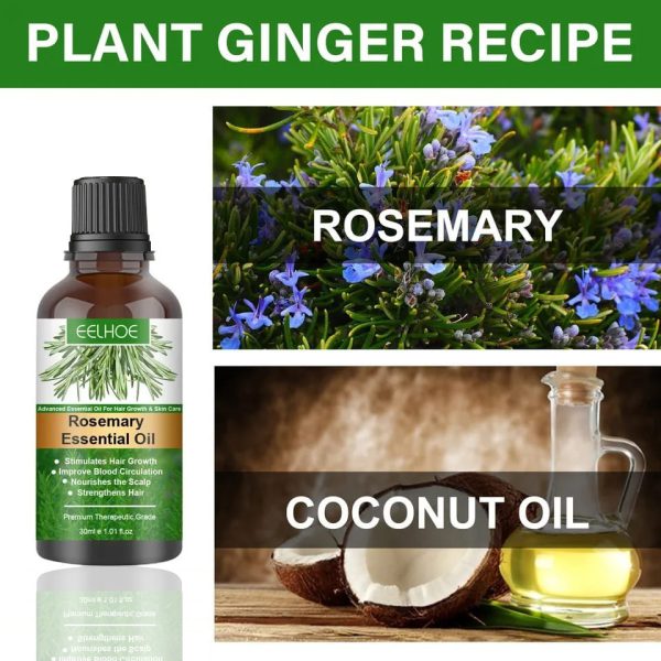 30ml-rosemary-hair-care-essential-oil-anti-hair-loss-growth-essential-oil-hair-care-nourishing-scalp-essential-oil-1-flyingcart.pk