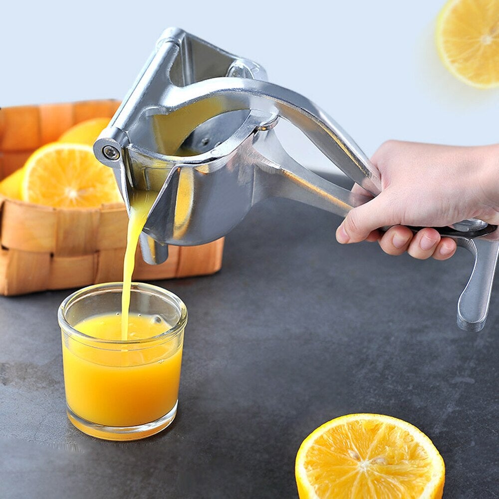 Stainless Steel Fruit Press - FlyingCart.pk