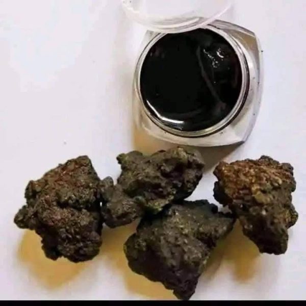 Pure Salajit – Premium Natural Resin for Health & Vitality - Flyingcart.pk