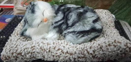 1 Pcs Cute Sleeping Cat Dashboard Mat - Flyingcart.pk