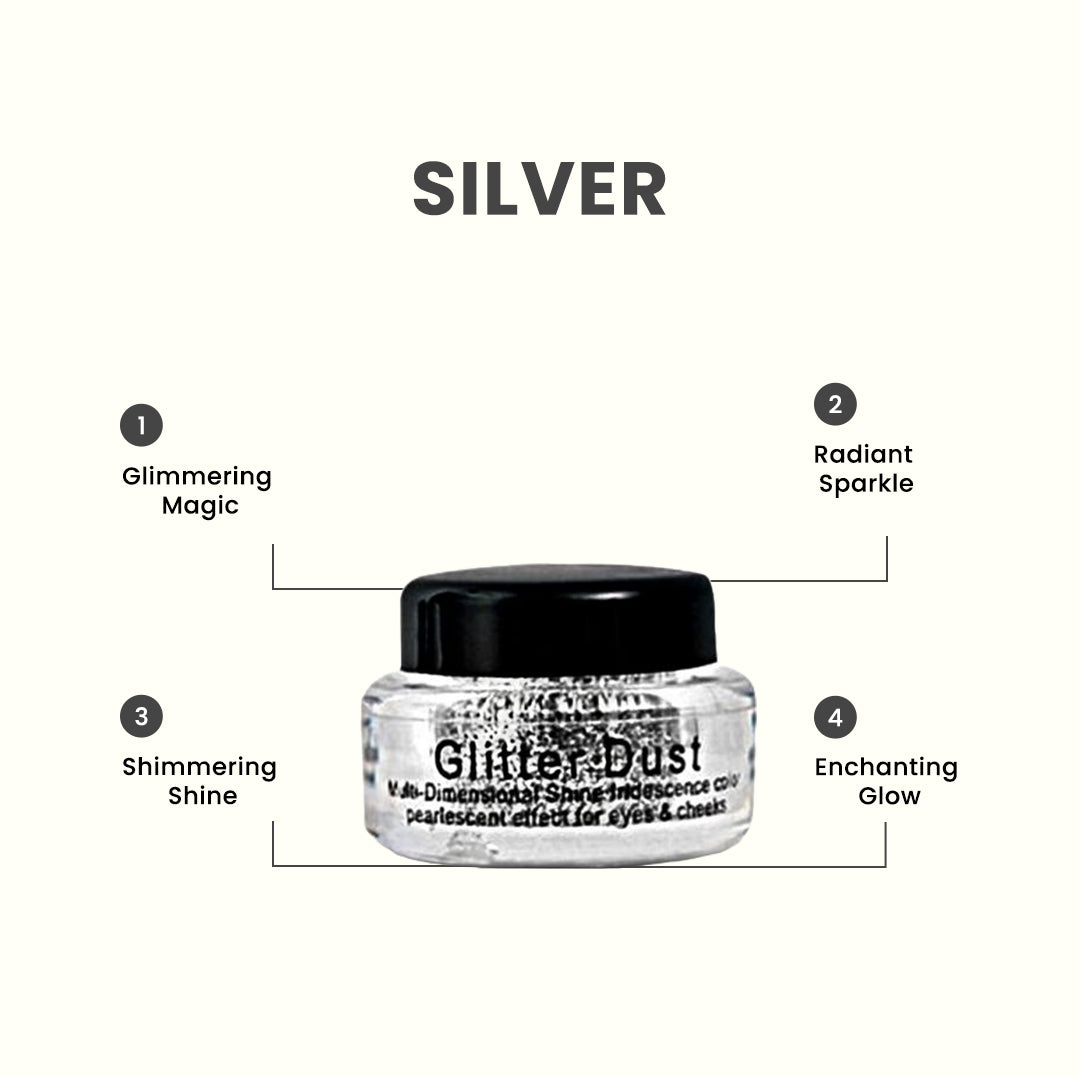 Christine Glitter Dust – Shade 102 Silver - FlyingCart.pk