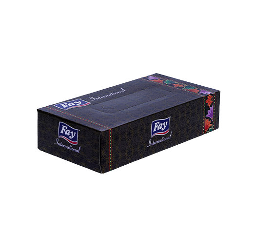 FAY INTERNATIONAL - FlyingCart.pk