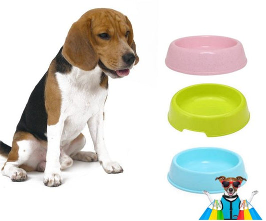 round-shaped-food-bowl-pet-plastic-food-bowl-random-color-8-inch-3-flyingcart.pk