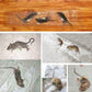 120-x-28cm-invisible-and-transparent-rat-killing-magic-carpet-rodents-moles-trap-rat-mice-trap-clear-invisible-mouse-glue-trap-6-flyingcart.pk