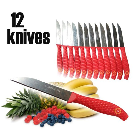 12pcs-mini-stainless-steel-knife-set-compact-14-5cm-carbon-steel-knives-for-daily-cutting-chopping-1-flyingcart.pk