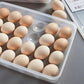 24 Department Egg Storage Plastic Box