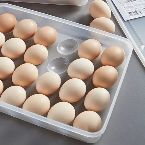 24 Department Egg Storage Plastic Box- FlyingCart.pk