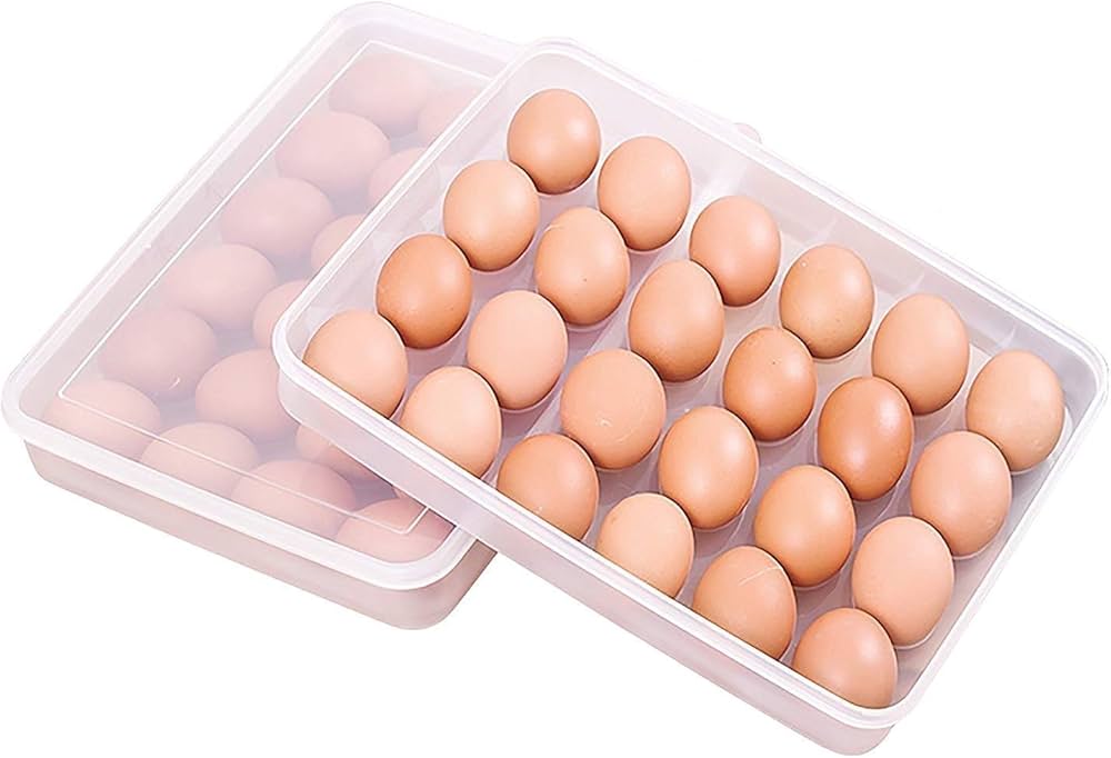 24 Department Egg Storage Plastic Box