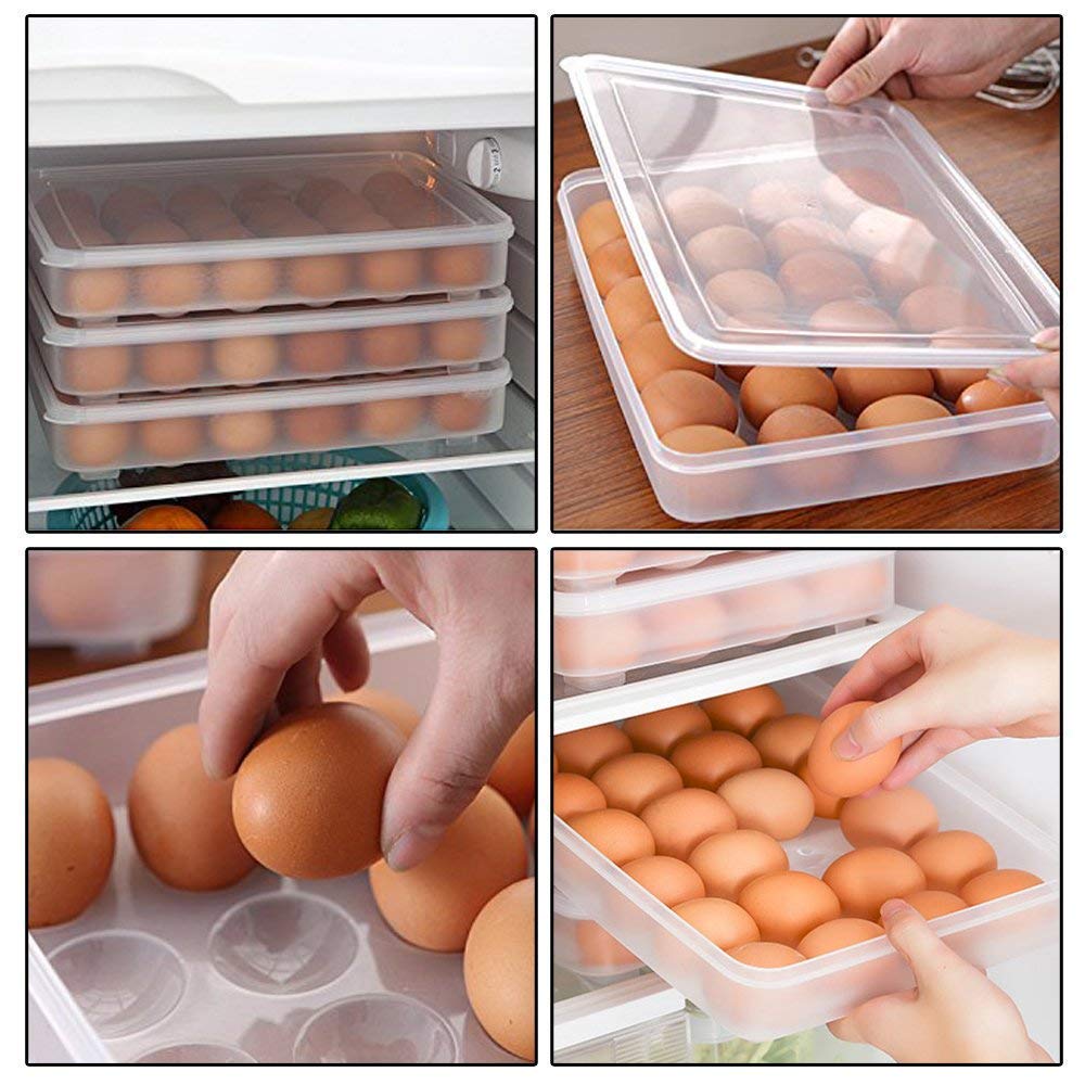 24 Department Egg Storage Plastic Box