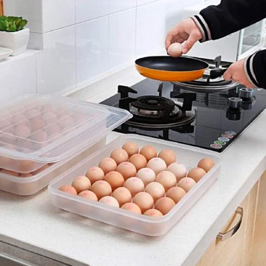 24 Department Egg Storage Plastic Box