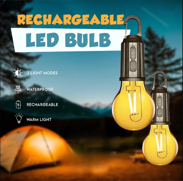 Portable Mini Rechargeable Warm Bulb