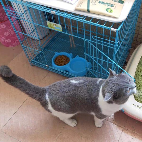 cat-shaped-double-food-bowl-pet-plastic-food-bowl-random-color-2-3-flyingcart.pk