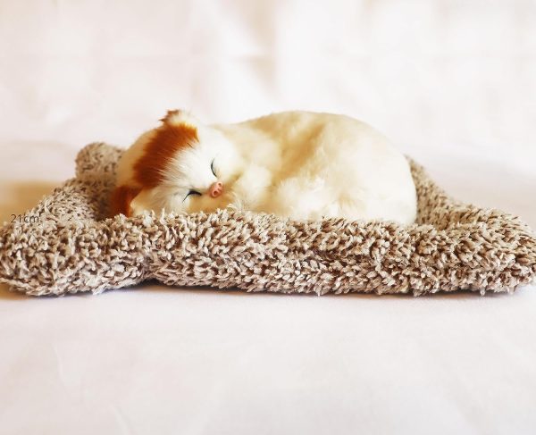 1 Pcs Cute Sleeping Cat Dashboard Mat - Flyingcart.pk 