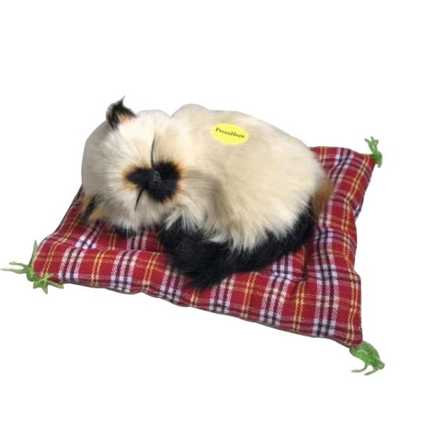 1 Pcs Cute Sleeping Cat Dashboard Mat - Flyingcart.pk 