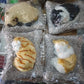1 Pcs Cute Sleeping Cat Dashboard Mat - Flyingcart.pk 