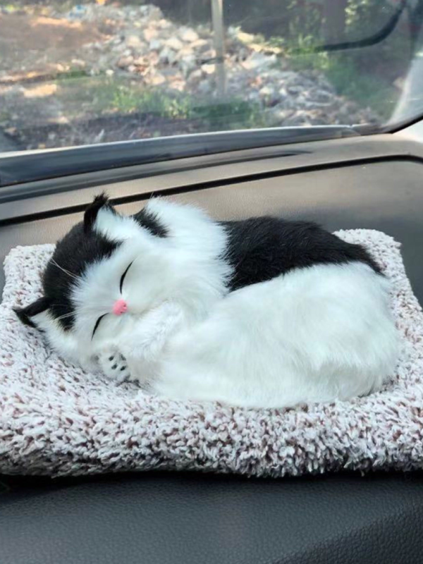 1 Pcs Cute Sleeping Cat Dashboard Mat - Flyingcart.pk 