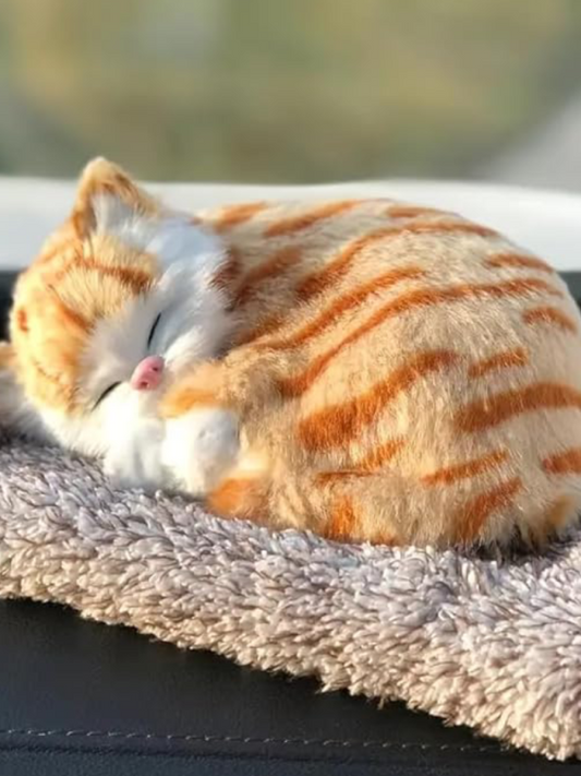 1 Pcs Cute Sleeping Cat Dashboard Mat - Flyingcart.pk 