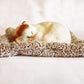 1 Pcs Cute Sleeping Cat Dashboard Mat - Flyingcart.pk 