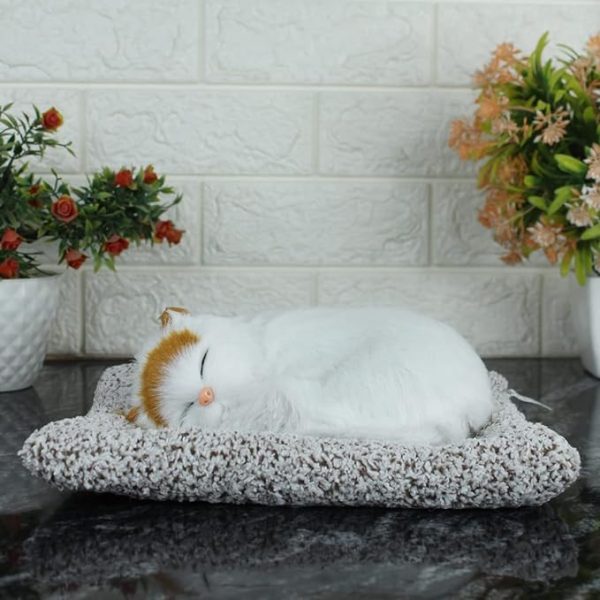 1 Pcs Cute Sleeping Cat Dashboard Mat - Flyingcart.pk 