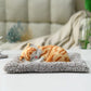 1 Pcs Cute Sleeping Cat Dashboard Mat - Flyingcart.pk 