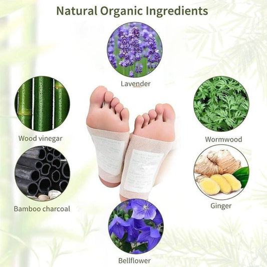 Kiyome Kinoki Detox Foot Pads - Flyingcart.pk