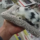 1 Pcs Cute Sleeping Cat Dashboard Mat - Flyingcart.pk 