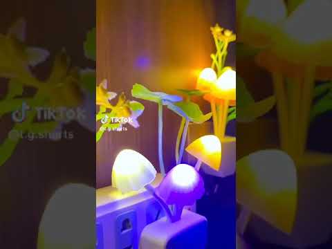 LED Mushroom Night Light with Dimming Sensor -FlyingCart.pk